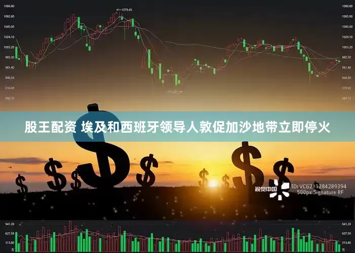 股王配资 埃及和西班牙领导人敦促加沙地带立即停火