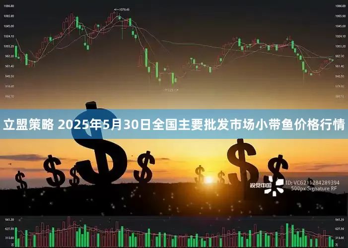 立盟策略 2025年5月30日全国主要批发市场小带鱼价格行情
