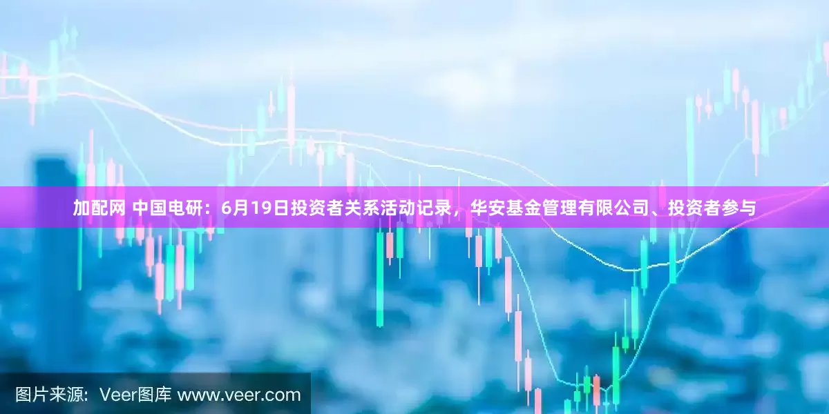 加配网 中国电研：6月19日投资者关系活动记录，华安基金管理有限公司、投资者参与