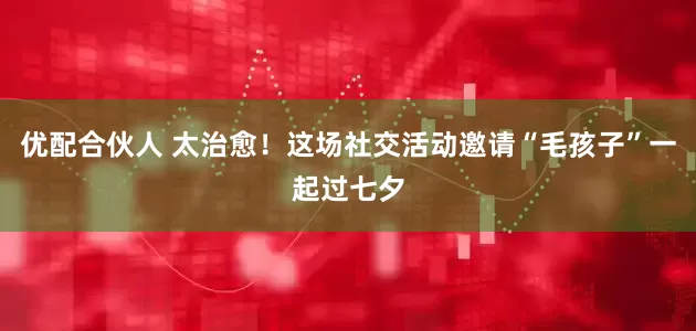 优配合伙人 太治愈！这场社交活动邀请“毛孩子”一起过七夕