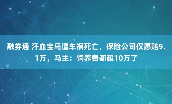 融券通 汗血宝马遭车祸死亡，保险公司仅愿赔9.1万，马主：饲养费都超10万了