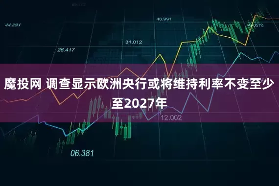 魔投网 调查显示欧洲央行或将维持利率不变至少至2027年