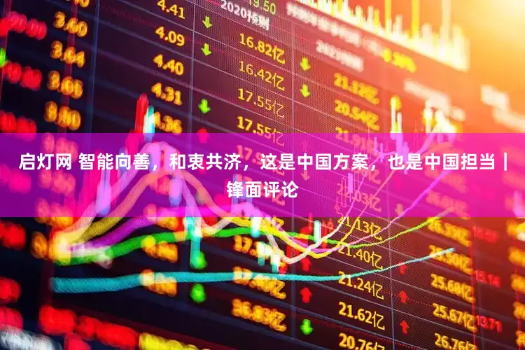启灯网 智能向善，和衷共济，这是中国方案，也是中国担当｜锋面评论